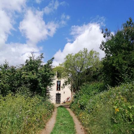 La Peonia Casa Vacanze In Montagna Prato Verde Panorama Stupendo Sardegna Seùlo Exterior foto