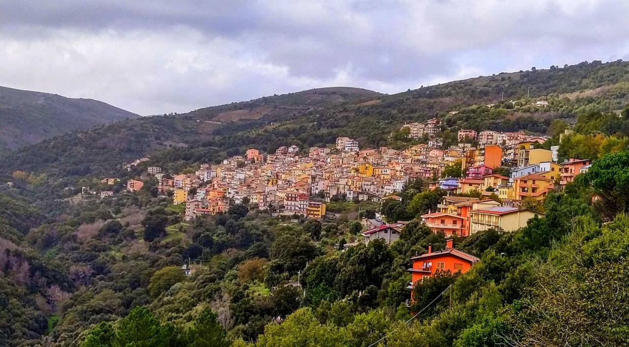 La Peonia Casa Vacanze In Montagna Prato Verde Panorama Stupendo Sardegna Seùlo Exterior foto